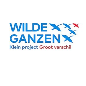 Wilde Ganzen